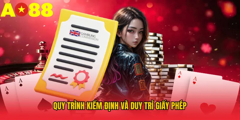 Quy trình kiểm định và duy trì giấy phép